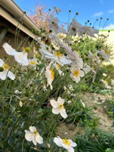 Appartements Appartement Avec Jardin 3 Couchages Proche Port des Fontinettes : photos des chambres