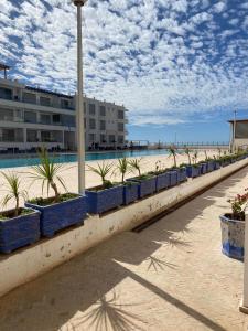 Water-front and swimingpool apartment