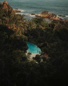 ZOA Hotel - Adults Only