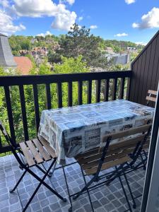 Appartements Deauville - appartement avec terrasse face a l-Hippodrome : photos des chambres