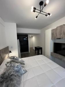 Studio en edificio con Amentities Alta Gama con Cocina