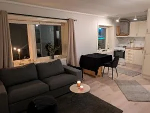 Nice apartment close to City Centre - Fageråsen