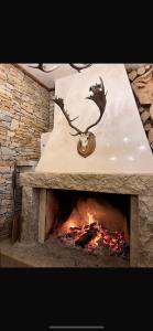 Cozy Apartment B35 in Grand Resort Pamporovo