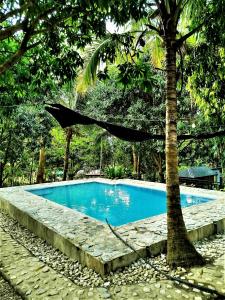 Reas Bamboo Resort