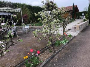 Hotels Les Tilleuls Montbeliard Sud Audincourt : photos des chambres