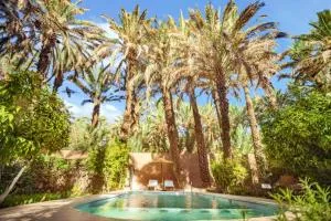 Charming house in Zagora with pool - Ouled Otmane