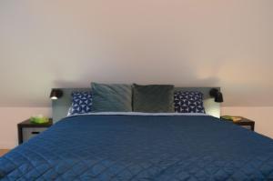 MSF Apartment Tuerkiser Wolf