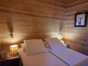 Chalet lumineux à Arêches-Beaufort avec terrasse et cuisine équipée - FR-1-342-332