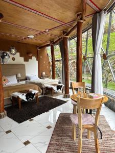 Stardome Spiritual Experience