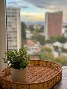 Acogedor apartmanto en el corazón de zona 10