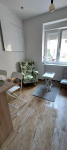 Studio apartment in center of Zagreb "Vidra"