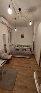 Studio apartment in center of Zagreb "Vidra"