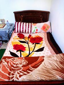 The stunning of Ismailias House