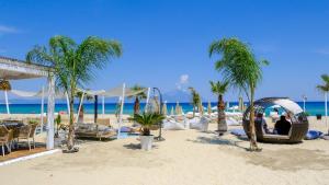 Cocoon Hotel-Beach bar