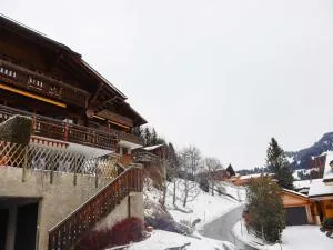 Premium chalet with mountain views - Devant