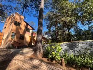 Bosque de Avandaro - Temascaltepec de González