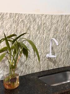 Kitnet no Centro- Sol Nascente