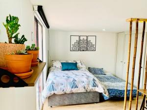 Comfy loft in La Candelaria