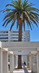 Departamento-sector 4 Esquinas