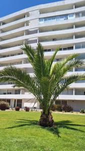 Departamento-sector 4 Esquinas