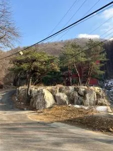 Beverly Hill Park - 杨平郡