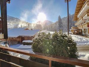 Appartements Studio confortable a La Clusaz - Animaux admis, Parking - FR-1-818-45 : photos des chambres