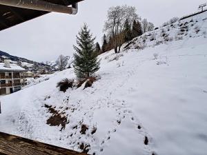 Studio à La Clusaz - 4 pers, balcon, animaux admis - FR-1-818-96