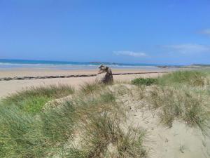 Villas Maison cosy 4 pieces a Erdeven, proche plage, jardin clos, animaux admis, parking prive - FR-1-479-208 : photos des chambres