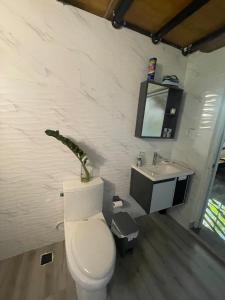 Lofts R&L