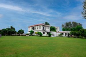 Family Vacay In Green Settings