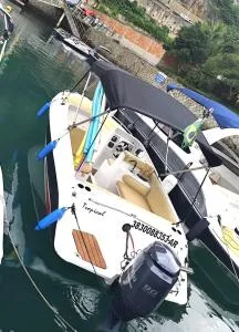 Tropical - 曼加拉蒂巴