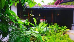 Habarana INN
