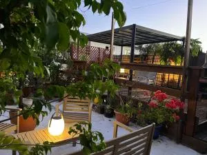 Kazyab - 圣皮埃尔