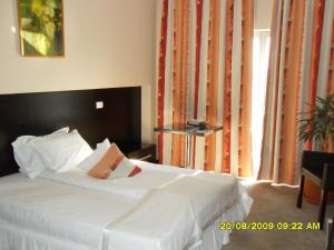Single Room room in Hotel Delpack