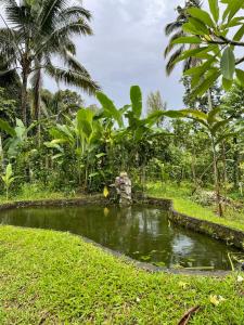 Dewandaru Villa Bali