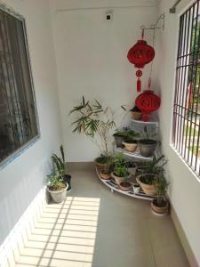 Japanese Styled House- Greenwood Cabins Homestay