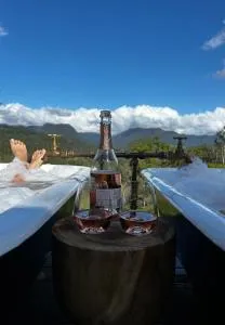 Hilltop Haven Darlington - Grevillia