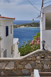 Villa Fiamegou Andros Greece