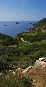 Hotel Villa Gli Asfodeli img90