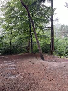 Holiday home Lunteren