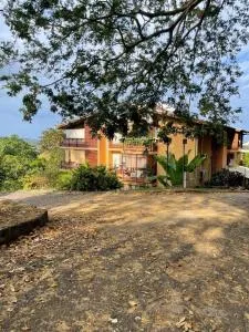 Giroflier 1 - Green setting - Moya