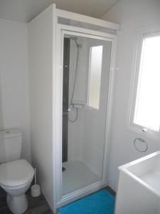 Campings Domaine Residentiel de Plein Air L-Ile d-Offard : Mobile Home Confort (2 Adultes)