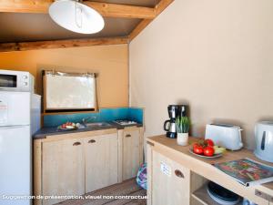 Campings Domaine Residentiel de Plein Air L-Ile d-Offard : photos des chambres