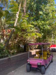 Casa Mara Beachfront -Heated Pool