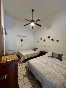 Casa Mara Beachfront -Heated Pool