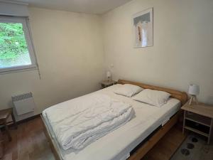 Appartements Grand chalet equipe et calme avec parking a Cauterets - FR-1-812-124 : photos des chambres