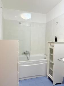 Studio Apartment Leopolda