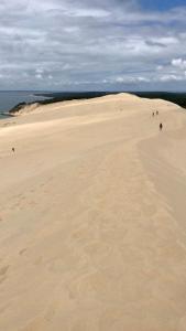 Villas Bassin d -Arcachon House with heated pool : photos des chambres