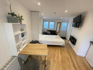 Self-contained studio with folding down Bed