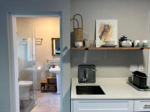 The Wood Owl Natures Valley